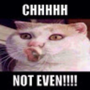 Meet your Posher, Anne